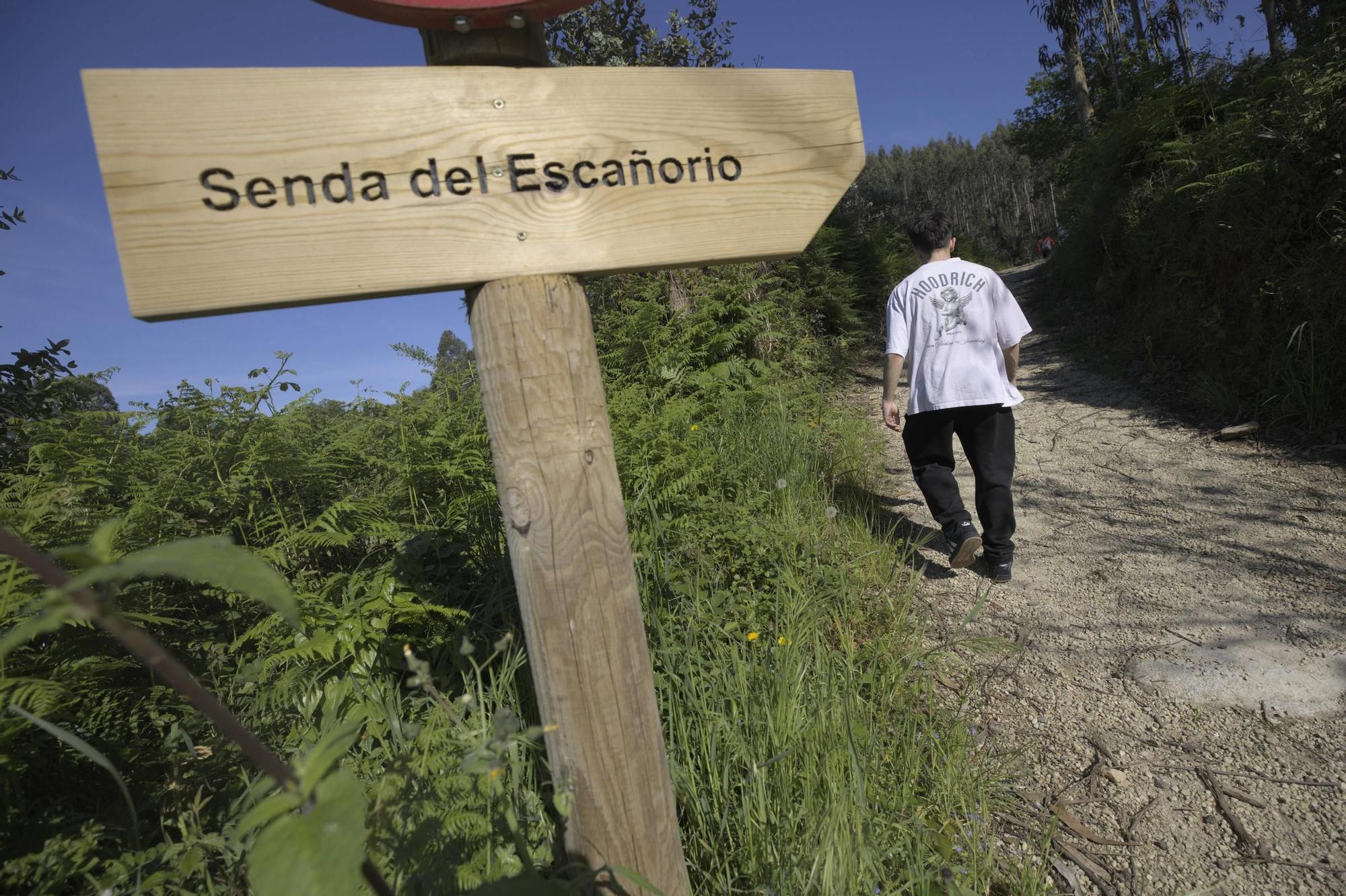 EN IMÁGENES: Así es el oasis natural de Corvera, la senda del Escañorio