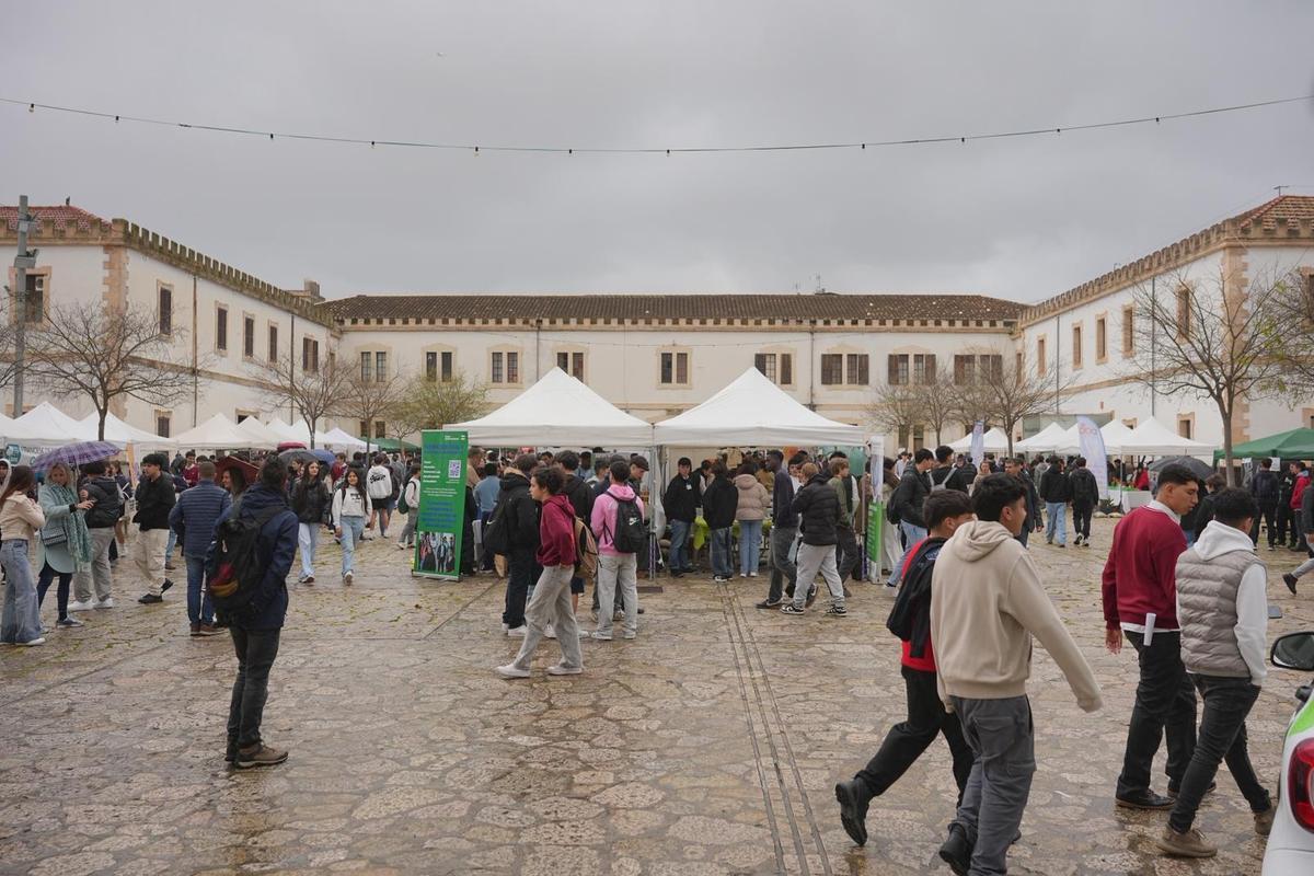 La feria se ha llevado a cabo en el cuartel General Luque de Inca.