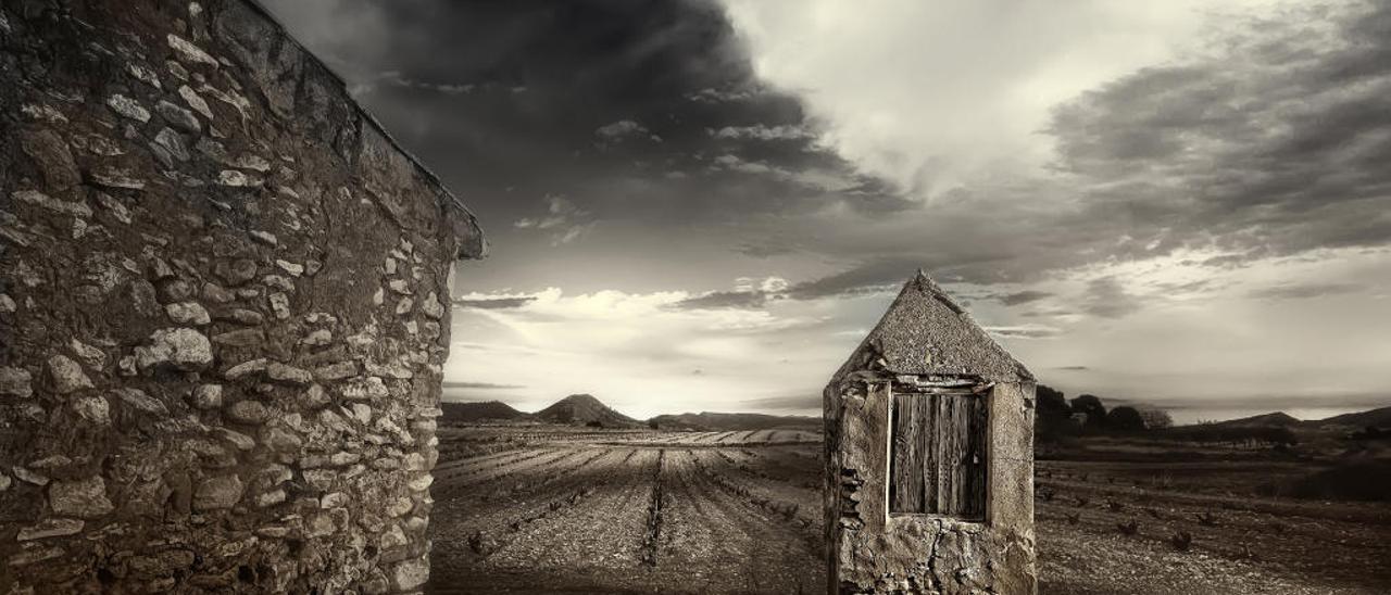 Imagen del campo alicantino, con una vieja caseta y las viñas al fondo.