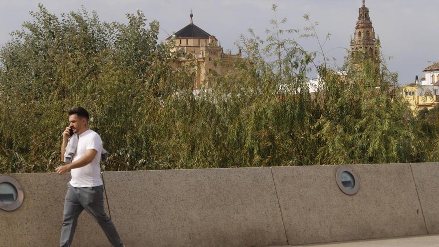El Ayuntamiento de Córdoba inicia el proceso para limpiar el cauce del río el próximo año