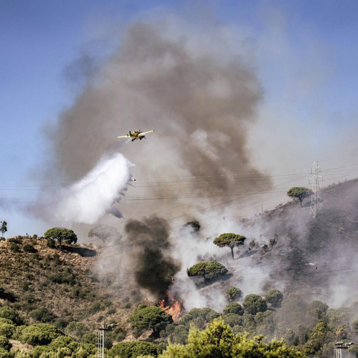 Els Mossos afirmen que el gran incendi de Collserola del mes passat va ser provocat