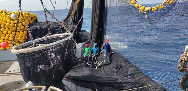 El sector del mar logra que Europa dé el primer paso para reformular los límites del mercurio en el consumo de pescado