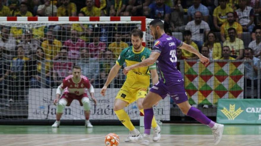 Palma Futsal ist amtierender Champions-League-Sieger.  | FOTO: DM