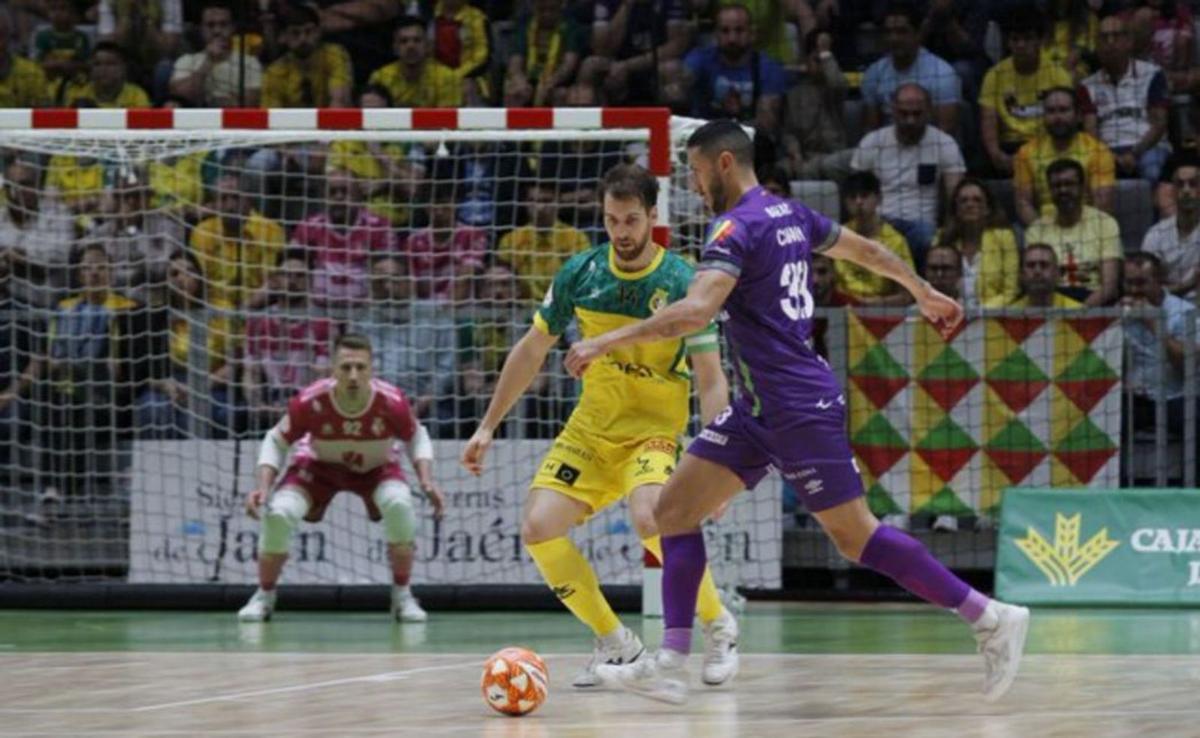 Palma Futsal ist amtierender Champions-League-Sieger.  | FOTO: DM