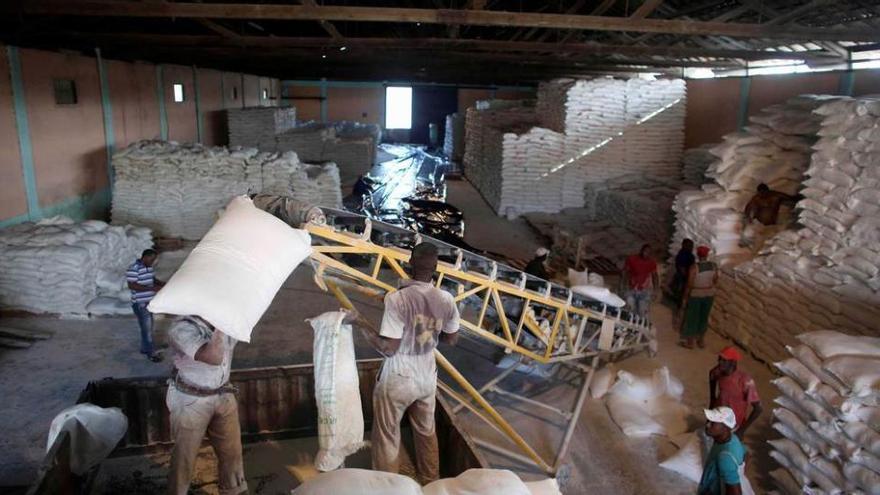 Trabajadores acumulan alimentos para su reparto.