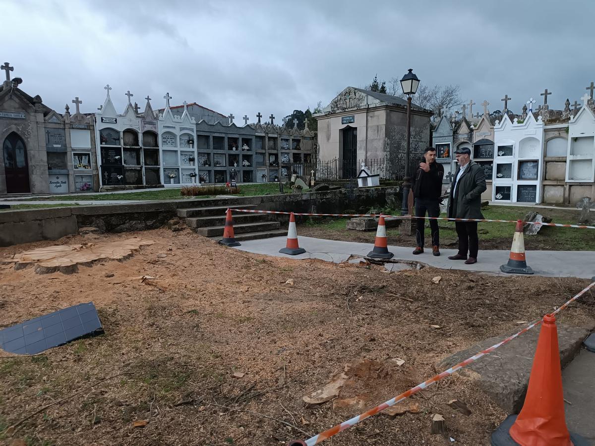 La tala de los cipreses del cementerio de Beluso