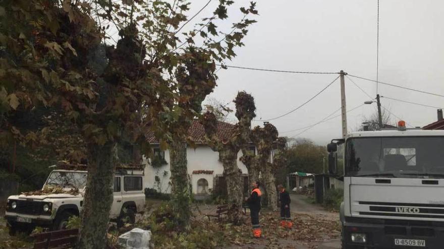 Cangas de Onís inicia una campaña de desbroces en las zonas rurales