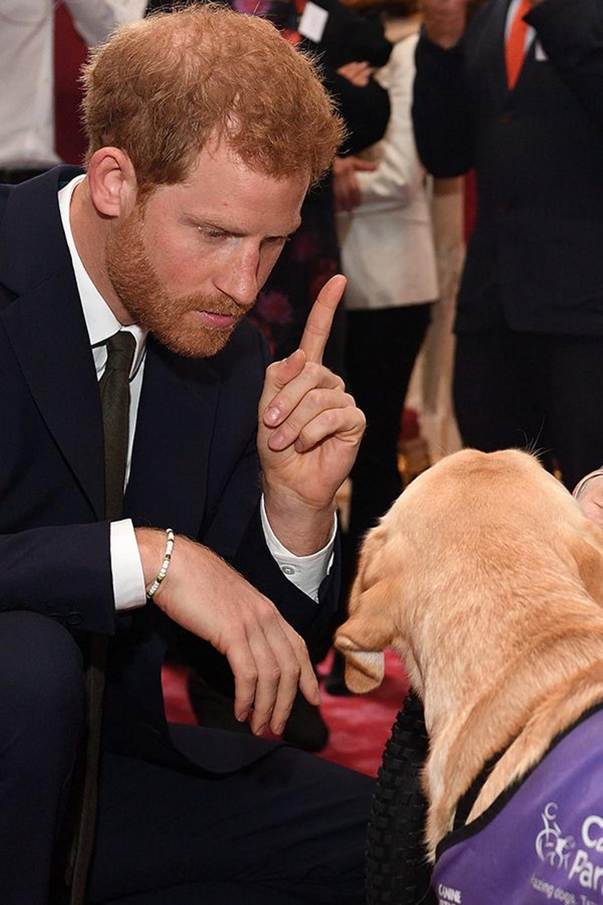 LAS TIERNAS IMÁGENES DEL PRINCIPE HARRY CON UN LABRADOR