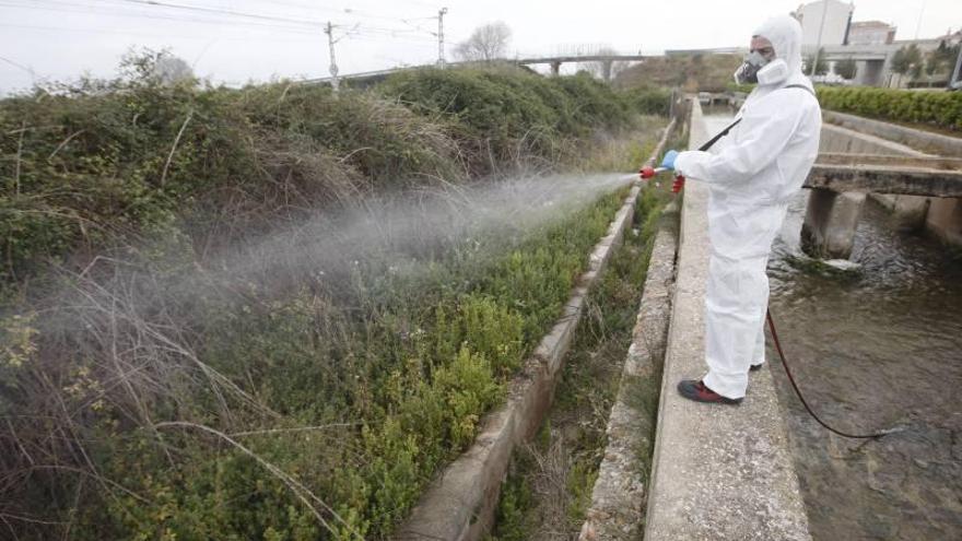 Diputación pide atajar el mosquito en Burriana, Alqueries y Vilavella