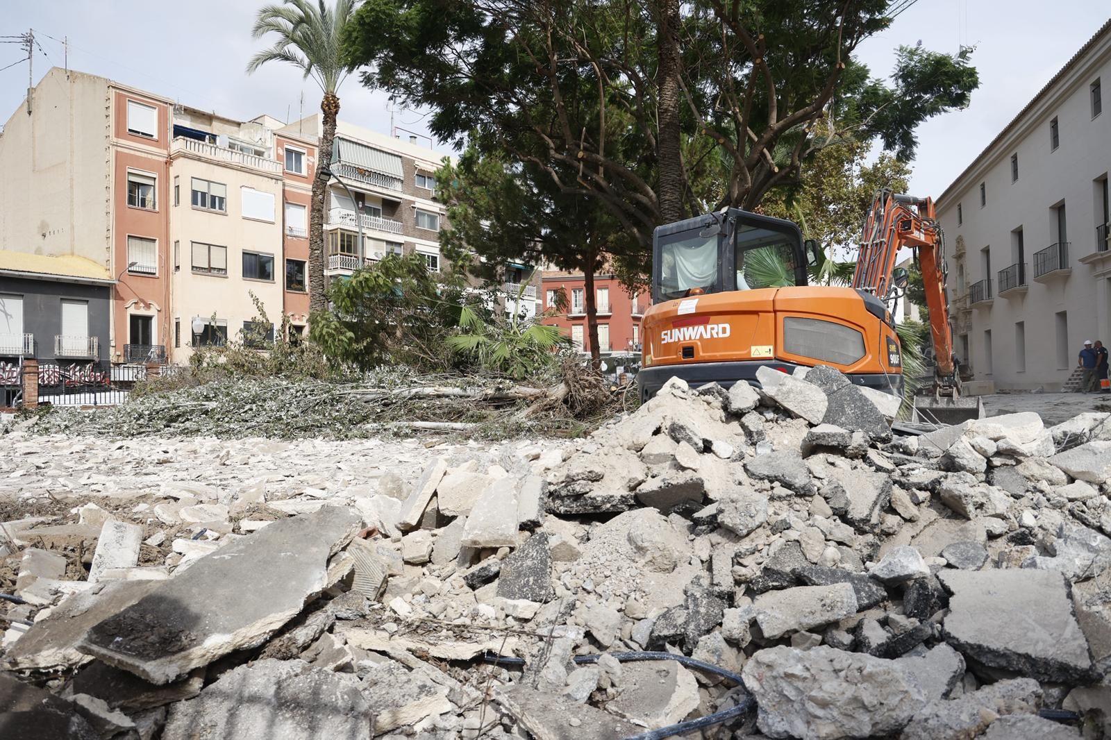 Una nueva tala de árboles en Alicante desata la polémica