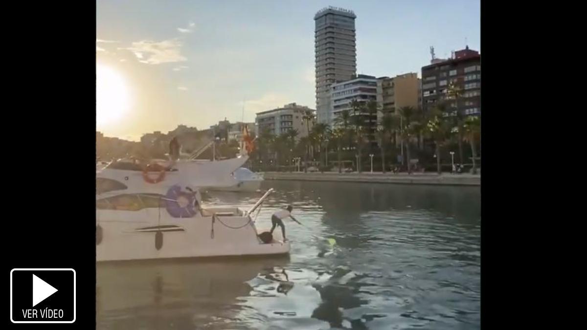Viral redes: El rescate de una sandalia en el Puerto de Alicante... con un yate