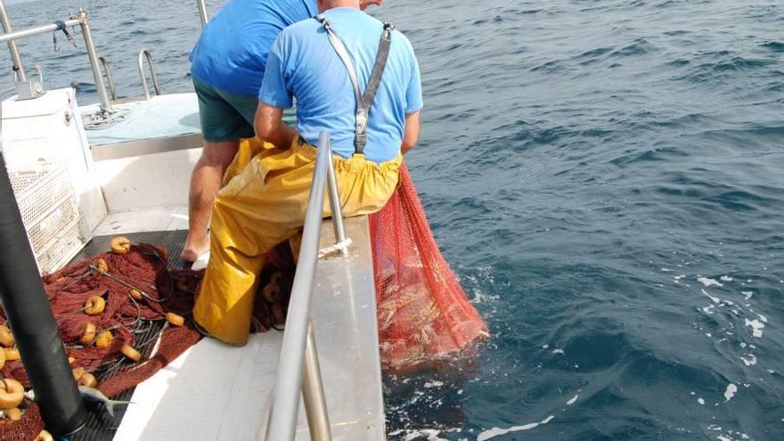 Los pescadores capturan más de dos toneladas de llampuga el primer día de la campaña