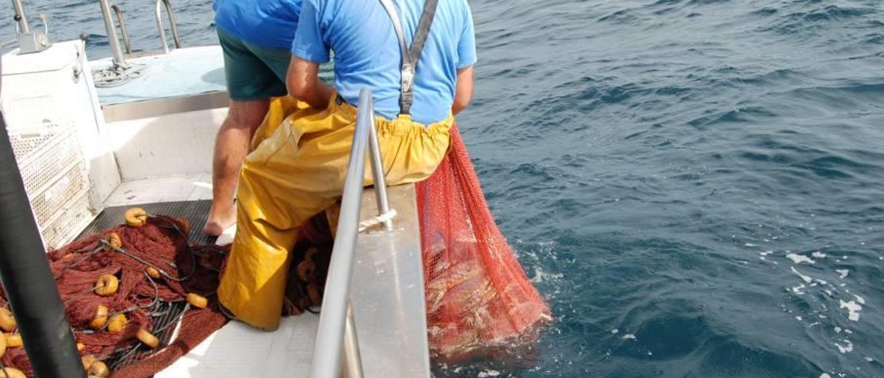 Varios pescadores izan llampuga a bordo de una embarcación tras recoger las redes.