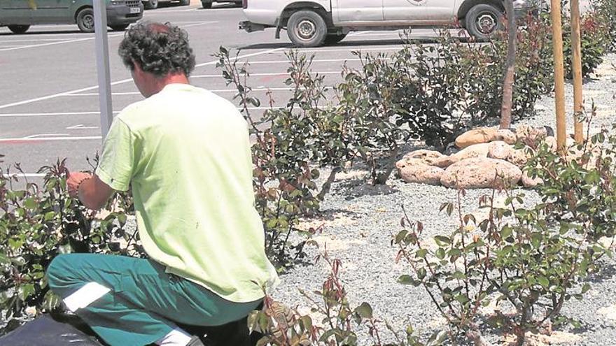 45 personas en las bolsas de trabajo de segorbe