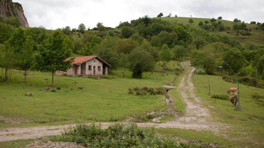 Terrenos de la Campa l&#039;Abeduriu, una de las zonas que se barajan para poner en marcha la iniciativa.