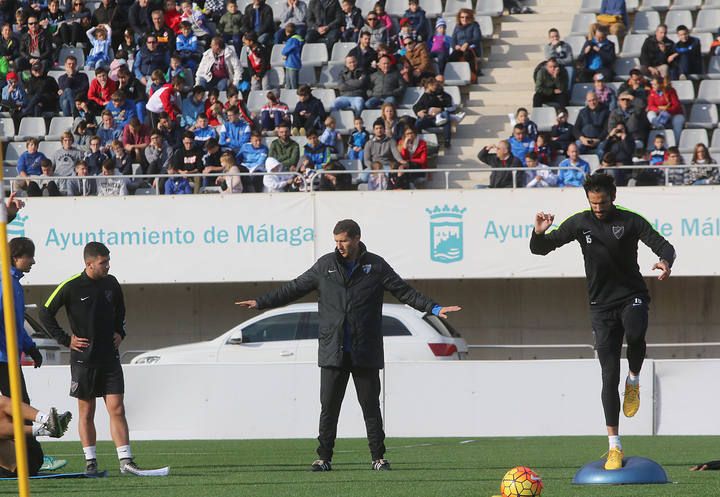 malagacf