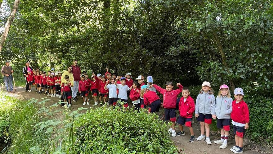 Alumnos de Placeres exploran el tramo rural del río de Os Gafos
