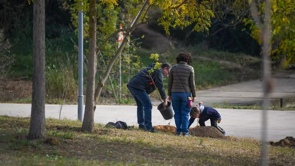 Rubí celebrará el 'día del árbol autóctono' con la plantación de ochenta ejemplares en el parque de Ca n'Oriol