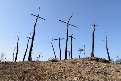 Les mirades més artístiques al Bosc de les creus