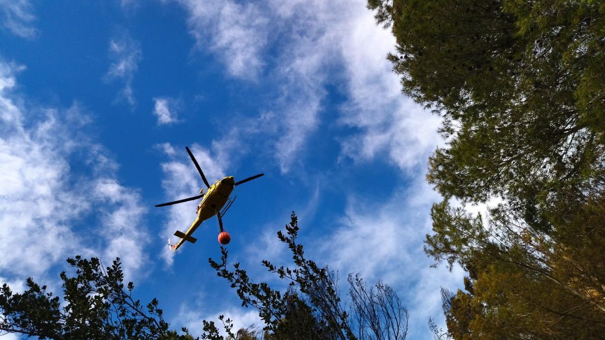 Declarado un incendio forestal en el Montgó