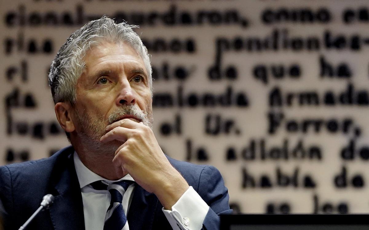 Fernando Grande Marlaska, ministro de Interior, durante su comparecencia en el Senado en la comisión de investigación sobre los contratos públicos realizados durante la pandemia de covid-19, relacionados con la intermediación de Koldo García