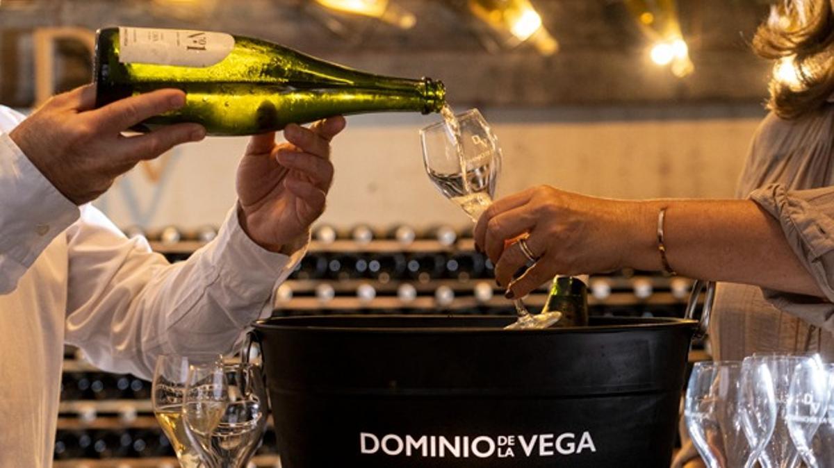 Tres experiencias diferentes para disfrutar del verano en una de las bodegas valencianas de referencia, Dominio de la Vega.