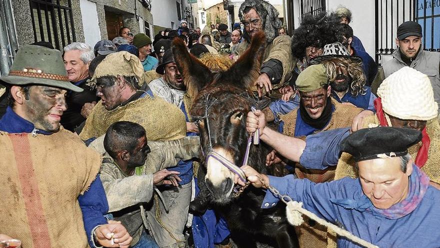 El Refugio del Burrito se queda con el último burro del Peropalo