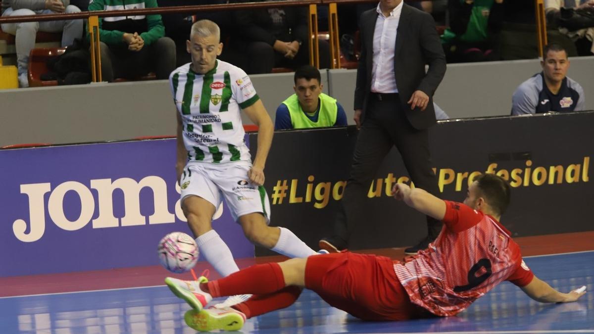 Miguelín, en una acción del partido entre el Córdoba Futsal y ElPozo Murcia en Vista Alegre.