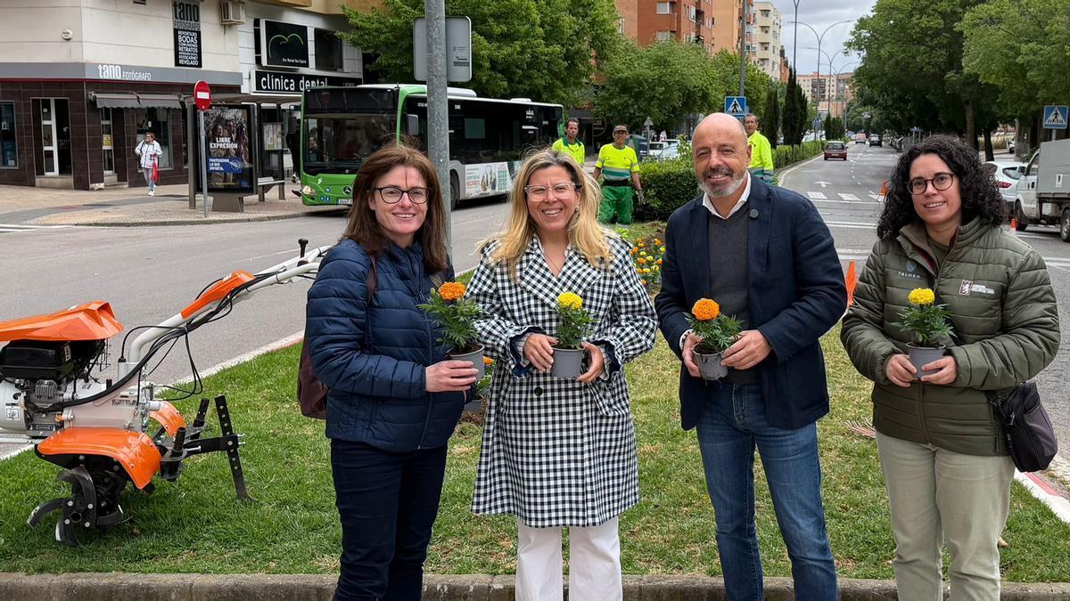Imagen de una plantación de flores de temporada.