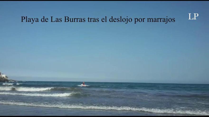 La playa de Las Burras tras el desalojo por marrajos