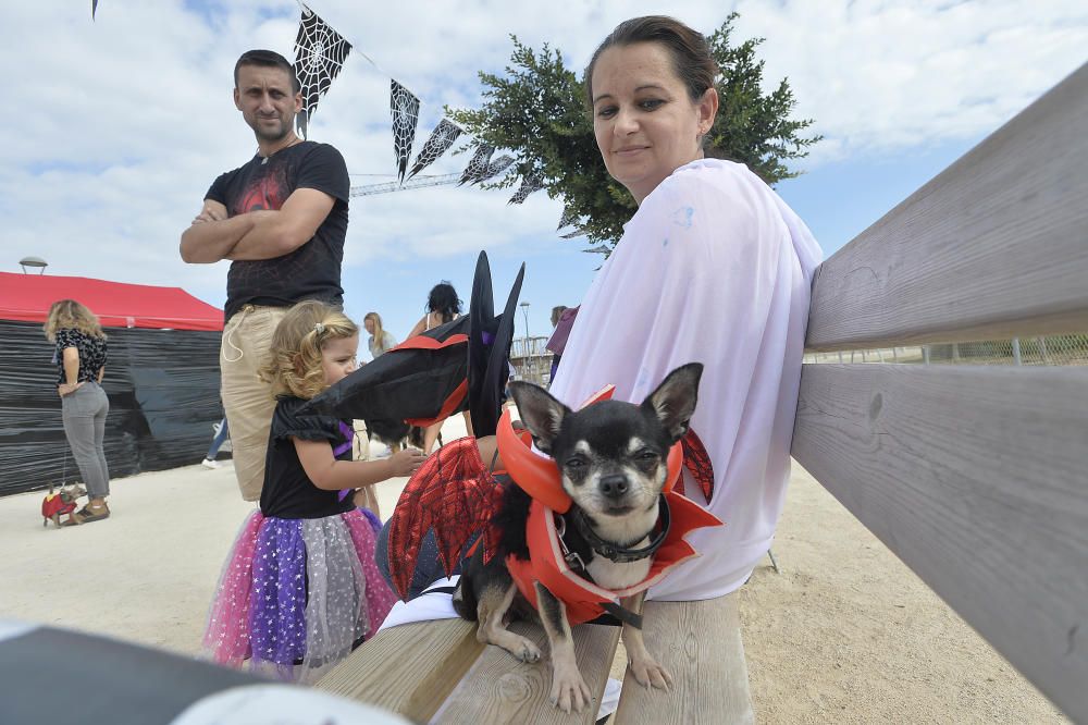 Halloween en el parque canino de Gran Alacant