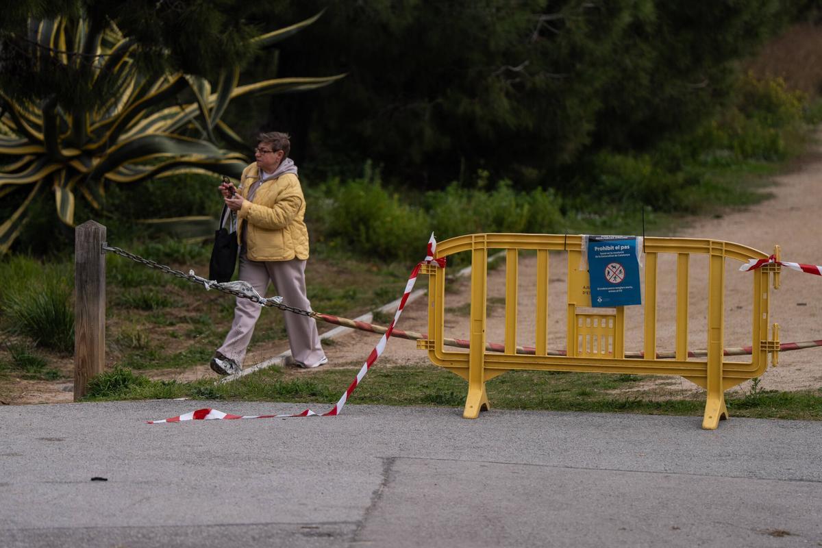 El parque de Parque Natural de la Serra de Collserola , cerrado al público desde el jueves 12 de marzo de 2026