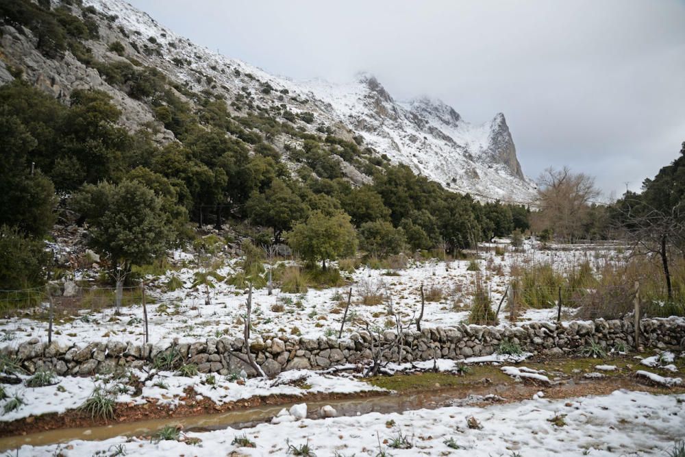 La nieve cubre las montañas de la Serra de Tramuntana