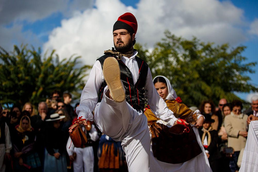 Fiestas de Santa Gertrudis