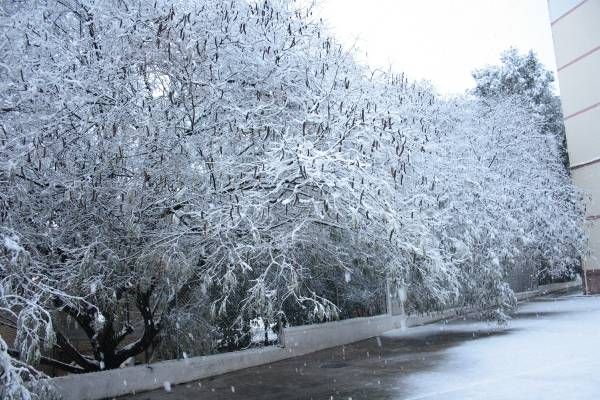 Las fotos de los cordobeses en la nieve