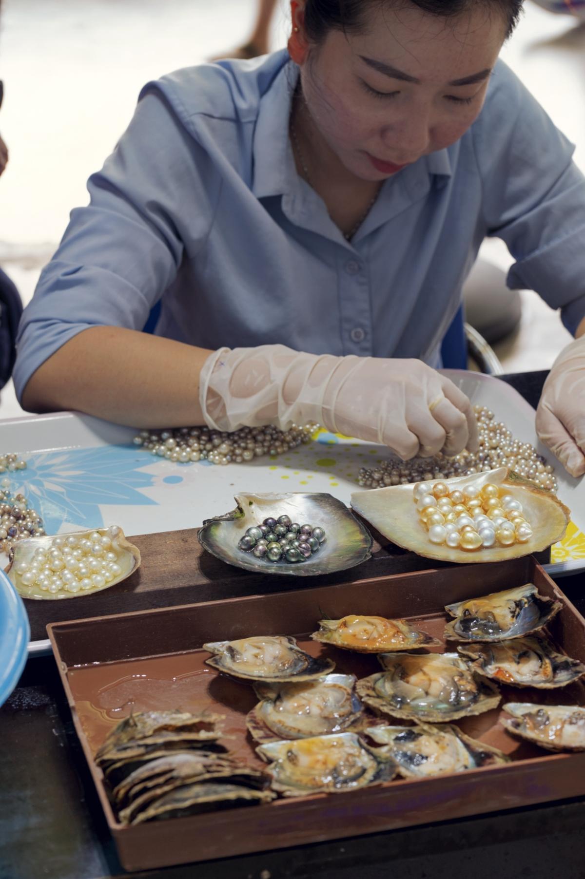 Cultivo de perlas en Halong.