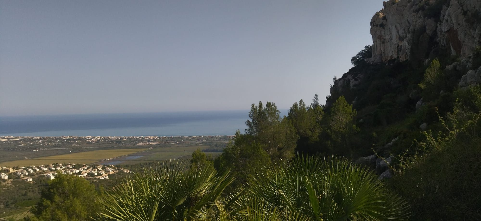 Arroz al norte y naranjos al sur: el paisaje agrícola desde la cima de Segària (imágenes)