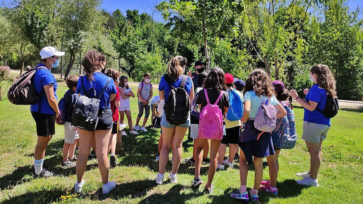 Niños y monitores disfrutan de una buena mañana en el jardín del Prado de las Pavas.