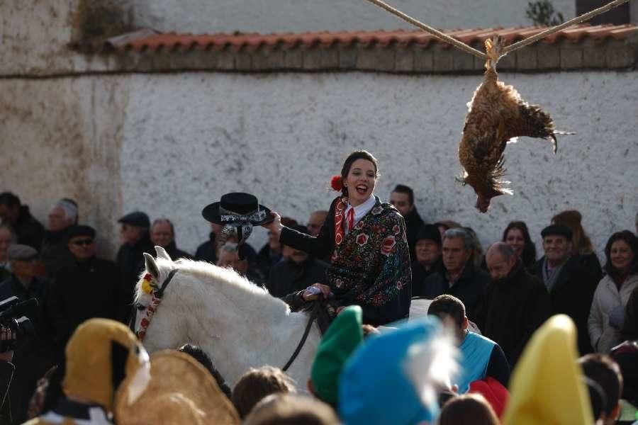 Carrera de Gallos en Fresno de la Ribera