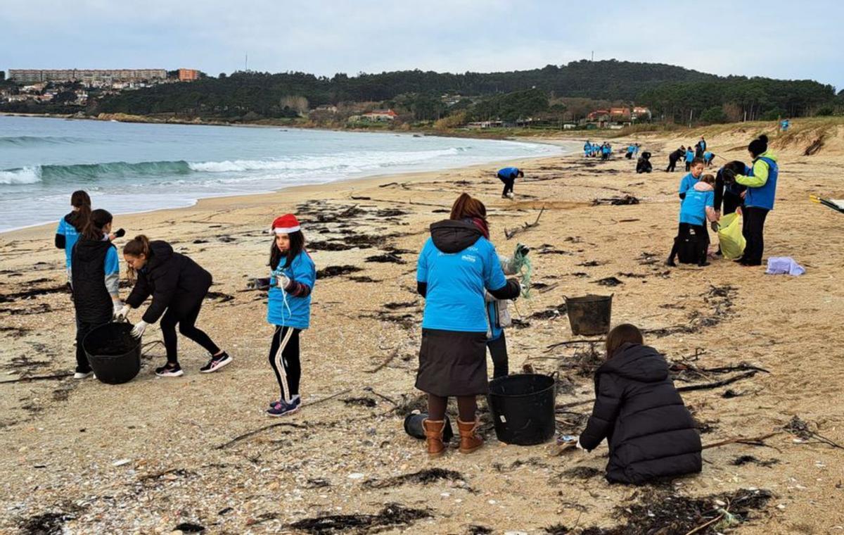 Algunos de los restos retirados por los voluntarios. |   //  AFUNDACIÓN