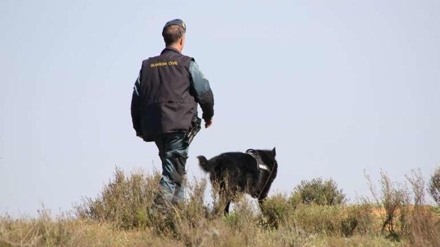 Varios agentes, en la madrugada de ayer, buscan restos en el lugar donde apareció el cadáver de Leticia Rosino.