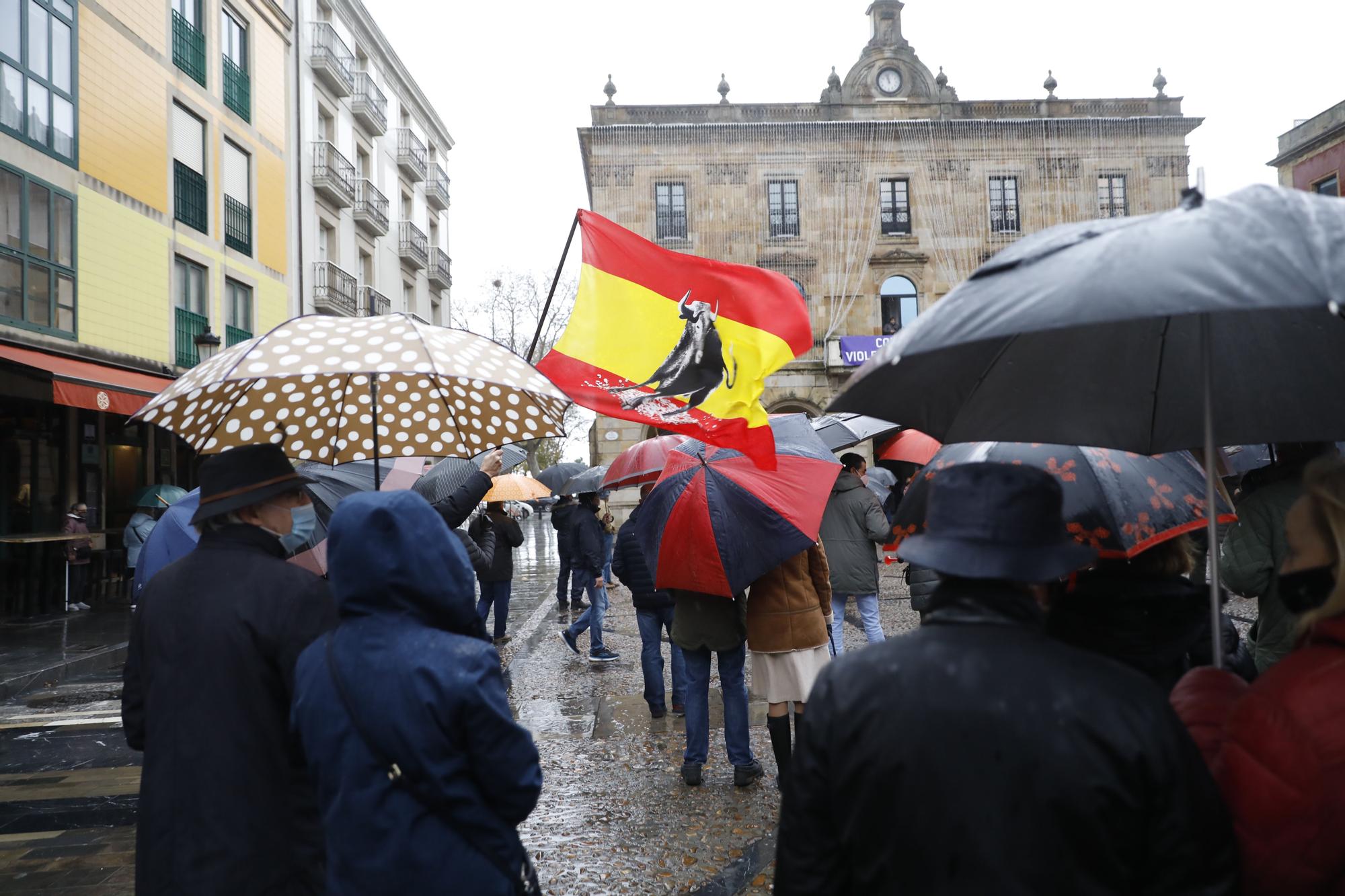 En imágenes: así fue la manifestación de ocho colectivos en la Plaza Mayor de Gijón