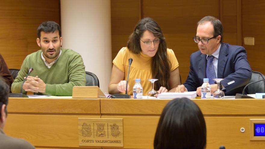 El conseller Marzá, durante su comparecencia en las Corts.