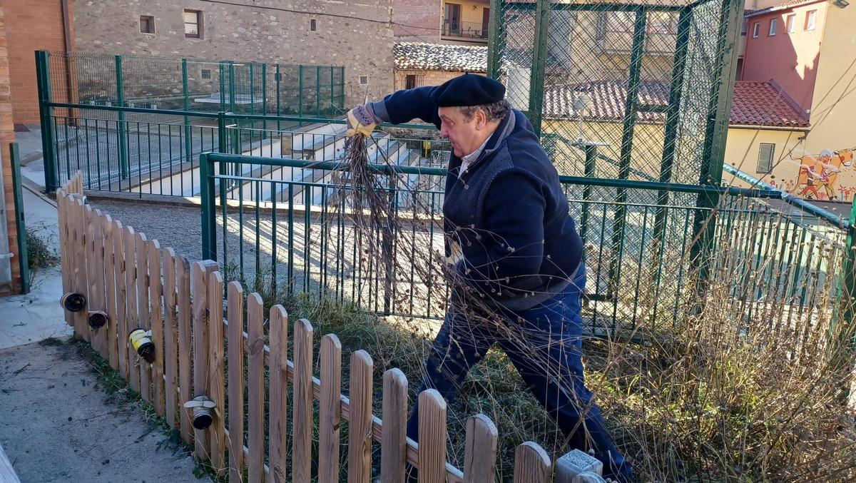 Jordi Pou collint herba faiera a l'hort de l'escola de Bagà