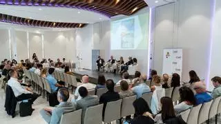 El 98,5% del alquiler turístico en Ibiza pertenece a propietarios con una sola vivienda