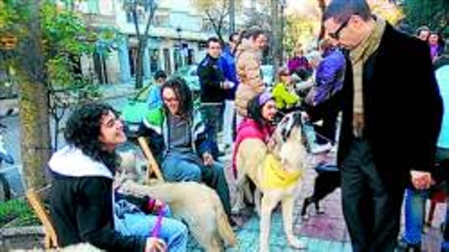 Marcha canina del refugio San Jorge hasta Cánovas