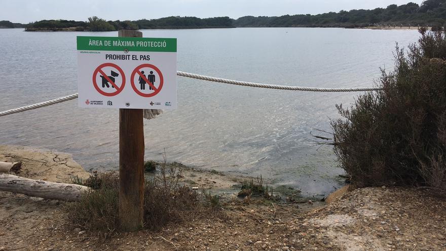 Colocan una veintena de carteles para informar sobre la fauna en l&#039;Estany de Pujol