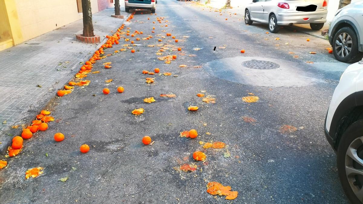Aspecto de una calle del Distrito Sur con las naranjas tiradas en acera y calzada.