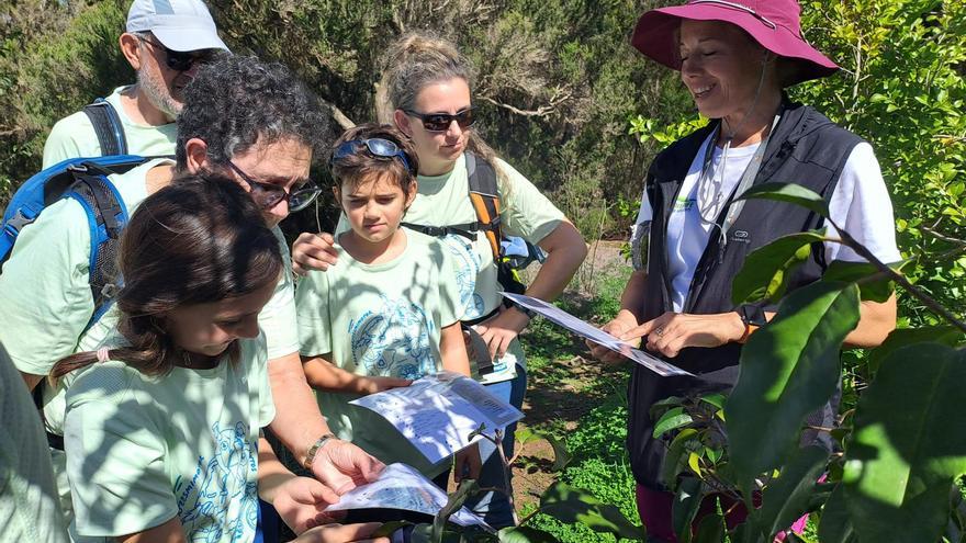 Ековолонтерство: від прибирання до науки та системної підтримки