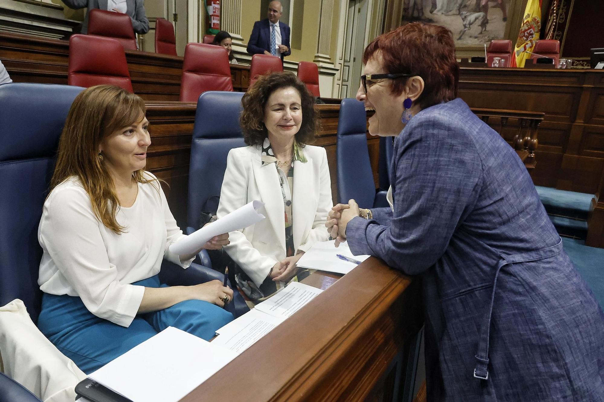 Pleno del Parlamento (08/04)